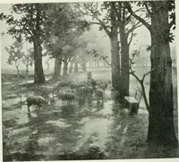 An illustration from International studio (1897)