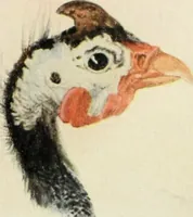 An illustration from International studio (1897)