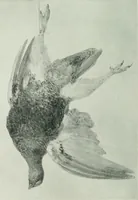 An illustration from International studio (1897)
