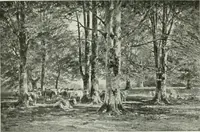 An illustration from International studio (1897)