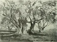An illustration from International studio (1897)