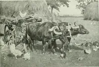 An illustration from International studio (1897)