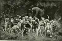 An illustration from International studio (1897)