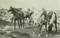 An illustration from International studio (1897)
