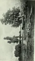 An illustration from International studio (1897)