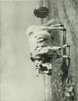 An illustration from International studio (1897)
