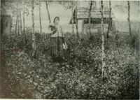 An illustration from International studio (1897)