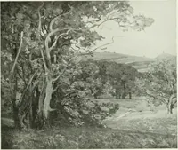 An illustration from International studio (1897)