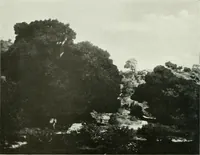 An illustration from International studio (1897)