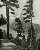 An illustration from International studio (1897)