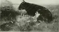 An illustration from International studio (1897)