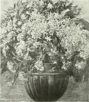 An illustration from International studio (1897)