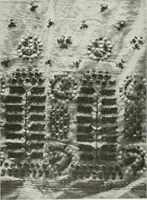 An illustration from International studio (1897)