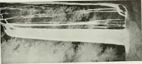 An illustration from International studio (1897)