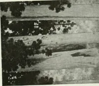 An illustration from International studio (1897)
