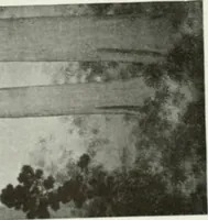 An illustration from International studio (1897)