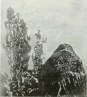 An illustration from International studio (1897)