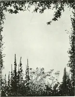 An illustration from International studio (1897)