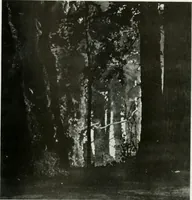 An illustration from International studio (1897)