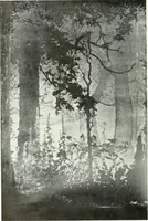 An illustration from International studio (1897)