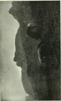 An illustration from International studio (1897)