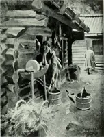 Picture 222 of 501 from International studio (1897), leaf 212