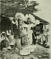 Picture 303 of 501 from International studio (1897), leaf 283