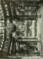 Picture 343 of 501 from International studio (1897), leaf 329