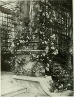 Picture 347 of 501 from International studio (1897), leaf 333