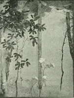 An illustration from International studio (1897)
