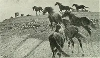 An illustration from International studio (1897)