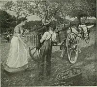 Picture 471 of 501 from International studio (1897), leaf 436