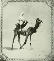 An illustration from International studio (1897)