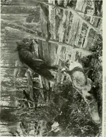 An illustration from International studio (1897)