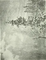 An illustration from International studio (1897)