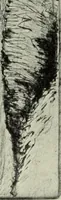 Picture 145 of 459 from International studio (1897), leaf 137