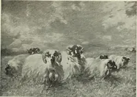 Picture 189 of 459 from International studio (1897), leaf 168
