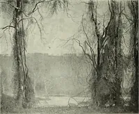 Picture 202 of 459 from International studio (1897), leaf 179
