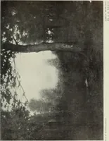 Picture 6 of 459 from International studio (1897), leaf 18