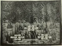 Picture 228 of 459 from International studio (1897), leaf 206