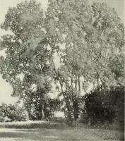 Picture 12 of 459 from International studio (1897), leaf 23
