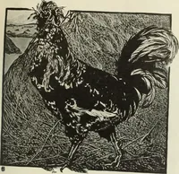 An illustration from International studio (1897)
