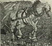 Picture 278 of 459 from International studio (1897), leaf 254