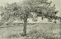 Picture 279 of 459 from International studio (1897), leaf 255