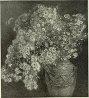 Picture 297 of 459 from International studio (1897), leaf 271