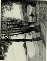 Picture 370 of 459 from International studio (1897), leaf 342