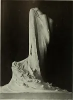 Picture 377 of 459 from International studio (1897), leaf 347