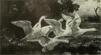 Picture 381 of 459 from International studio (1897), leaf 351