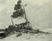 Picture 384 of 459 from International studio (1897), leaf 353