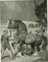 Picture 387 of 459 from International studio (1897), leaf 359